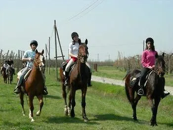 农家乐 拉里卡迪那农家乐 *